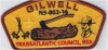 Gilwell Yellow Fill