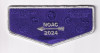173225-Metallic Flap