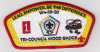 Tri-Council Wood Badge Emblem