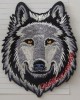 X159324A  (Wolf Head 2012)