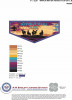 Wipala Wiki 432 sunset flap purple border