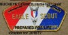 Buckeye Council 2016 Eagle Scout Prepared For Life Medal