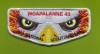 2017 National Scout Jamboree - Woapalanne 43 - Silver Metallic Border