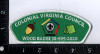 Colonial Virginia Council Wood Badge SR-595-2020