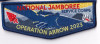 Jamboree Patch OA Staff Flap Set