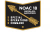 AHOALAN-NACHPIKIN 558 NOAC 2018 Bottom Piece - Gold Metallic