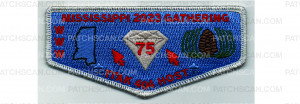 Patch Scan of Mississippi Gathering Host Flap (PO 101455)