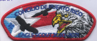 429078- Eagle Scout 2021 Puerto Rico Council #661
