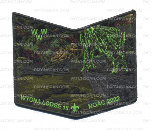 Patch Scan of Wyona Lodge NOAC 2022 Earth (Bottom Piece) Green