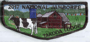 Patch Scan of glaciers edge jambo ldoge flap