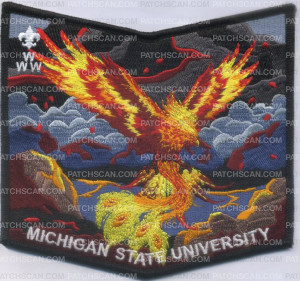 Patch Scan of 390317 MICHIGAN