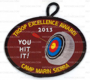 Patch Scan of X149720C TROOP EXCELLENCE AWARD 2013 