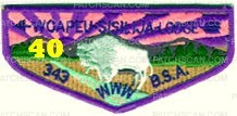 Patch Scan of K122689 - WOAPEU FLAP NIGHT