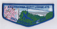 Amangamek-Wipit Lodge 470 Nat Jamboree 2023 National Capital Area Council #82