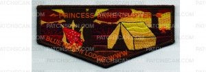 Patch Scan of Fall Flap (PO 101533)