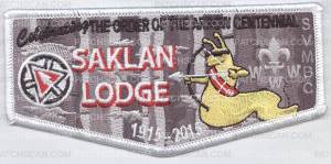 Patch Scan of Celebrating the OA Centennial 