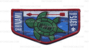 Patch Scan of Unami One Turtle Flap