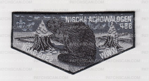 Patch Scan of Nischa Achowalogen Flaps