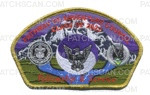Patch Scan of Pathway to Adventure Council Fellowship & Service CSP gold met bdr