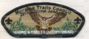 Patch Scan of 336316 A HAWKS