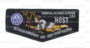 Patch Scan of Semialachee Lodge 239 E5 Conference HOST Flap 