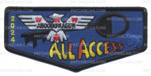 Patch Scan of All Access 2024