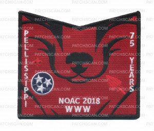 Patch Scan of Pellissippi 230 Bottom Piece NOAC 2018 (Contingent)