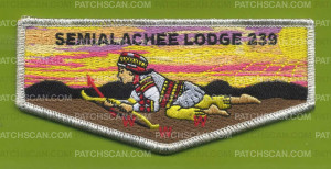 Patch Scan of Semialachee Lodge 239 Silver Metallic