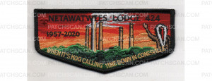 Patch Scan of Power Pant Flap (PO 100565)