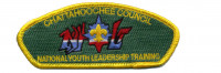 NYLT (34198) Chattahoochee Council #91