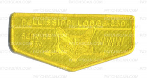 Patch Scan of Pellissippi Lodge 230 yellow Service flap