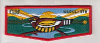 Waguli 318 Honor Flap Northwest Georgia Council #100