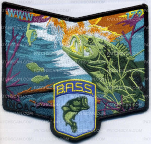 Patch Scan of 354205 BASS