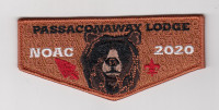 Passaconaway Lodge NOAC 2020 Daniel Webster Council #330