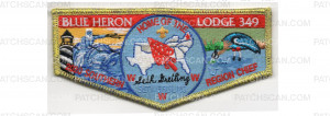 Patch Scan of 2020 Southern Region Chief Flap (PO 89215)