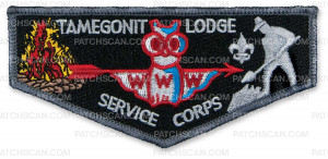 Patch Scan of P24516 Tamegonit Lodge Service Corp Flap