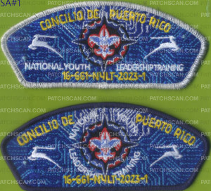 Patch Scan of 449698- NYLT Puerto RIco Council