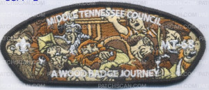 Patch Scan of 427011 - Middle Tennessee