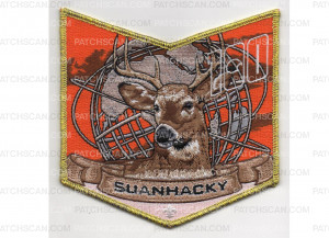 Patch Scan of 100th Anniversary Pocket Patch #5 (PO 89767)