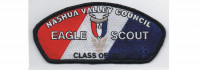 Eagle Scout Class of 2017 (PO 86713 Nashua Valley Council #230