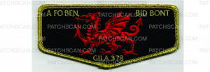 Patch Scan of Lodge Adviser Flap (PO 101485)