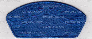 Patch Scan of Silver Beaver 2020 CSP