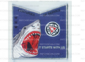 Patch Scan of N.C.A.C  NOAC pocket patch (silver border)