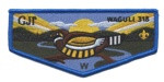  Honor Flap for NWGA Waguli (Light Blue)  Northwest Georgia Council #100