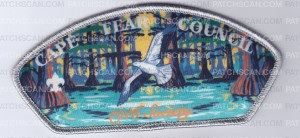 Patch Scan of cape Fear 1916 Society CSP