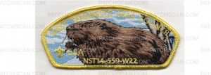 Patch Scan of Wood Badge CSP Beaver (PO 100214)