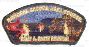 Patch Scan of NCAC Camp A. Smith Bowman CSP