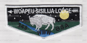 Patch Scan of Woapeu-Sisilija Lodge Flap Set