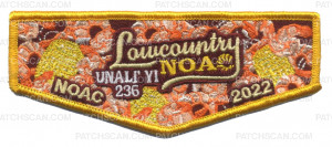 Patch Scan of Unali'yi 236 NOAC 2022 flap gold border