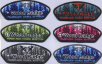 463855- Wood Badge  Prairielands Council #117